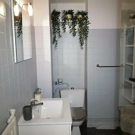 Apartment Cosy-t1- Gare-tribunal-gem *
